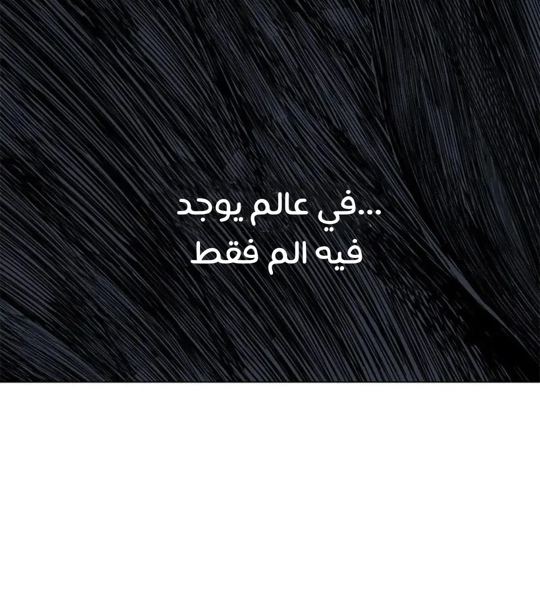 الصفحة 14 من 167