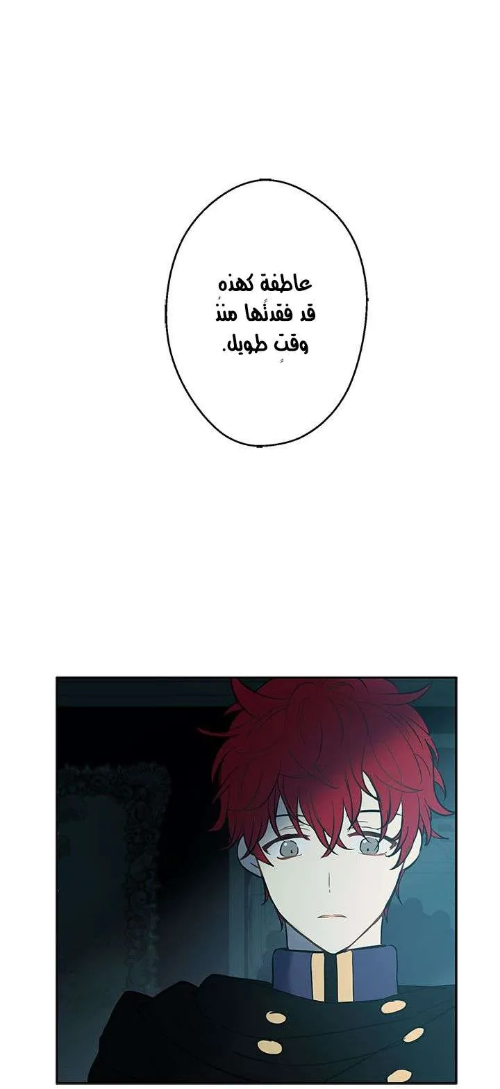 الصفحة 57 من 69