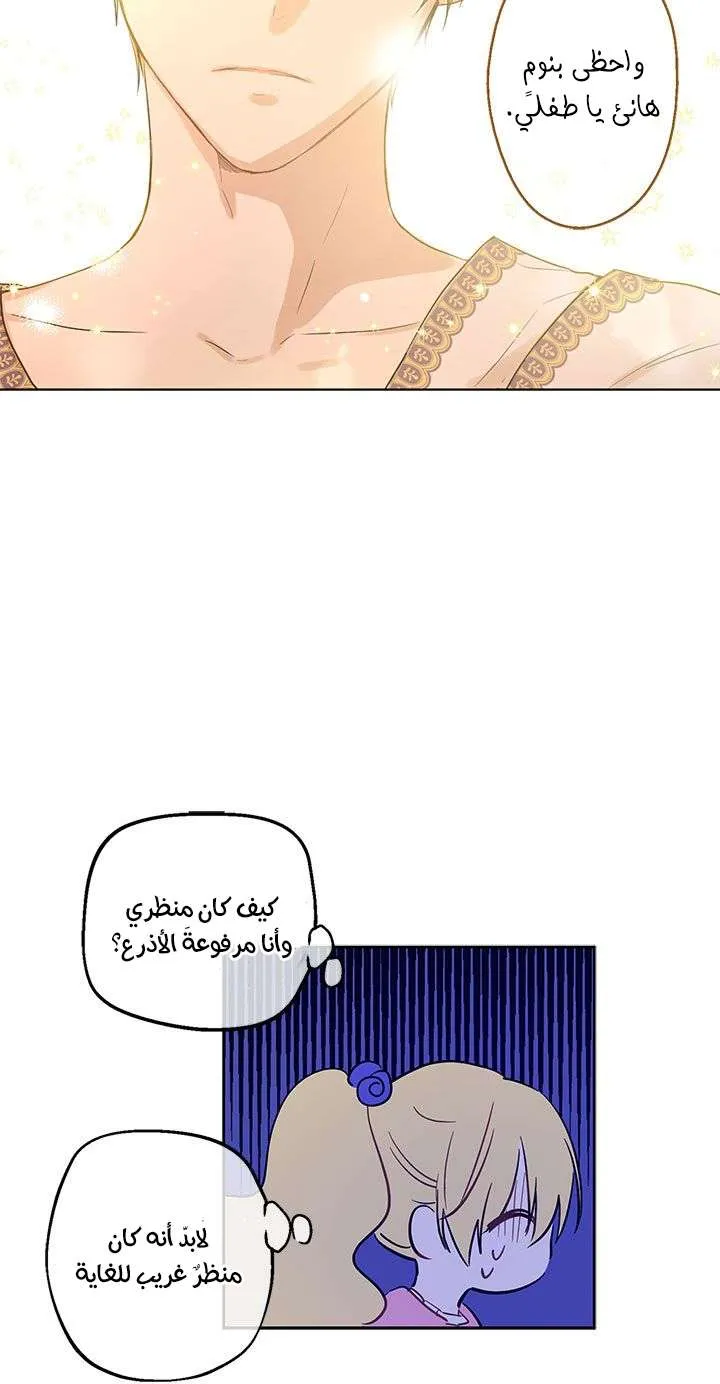 الصفحة 17 من 69