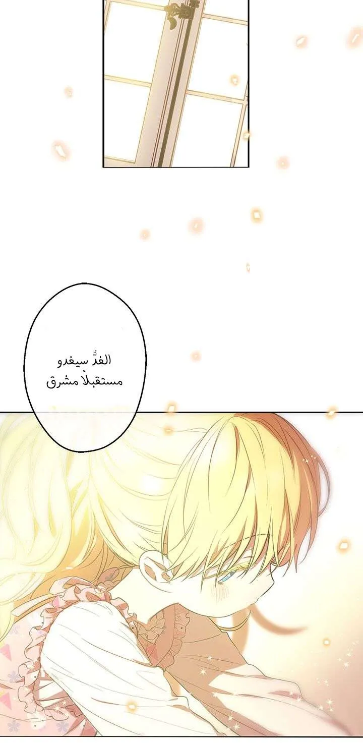 الصفحة 15 من 69