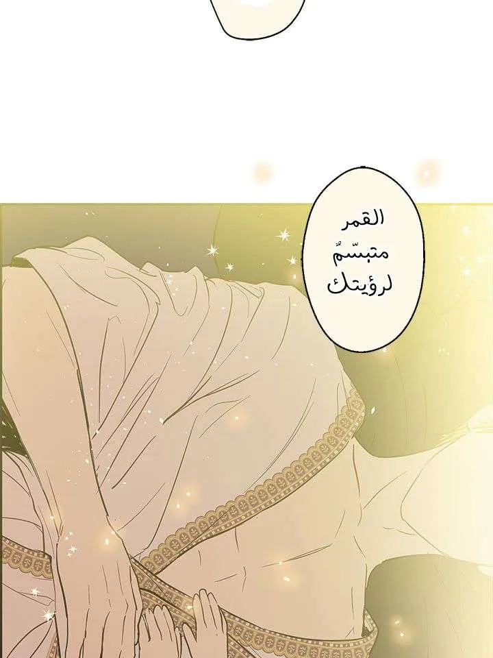 الصفحة 13 من 69