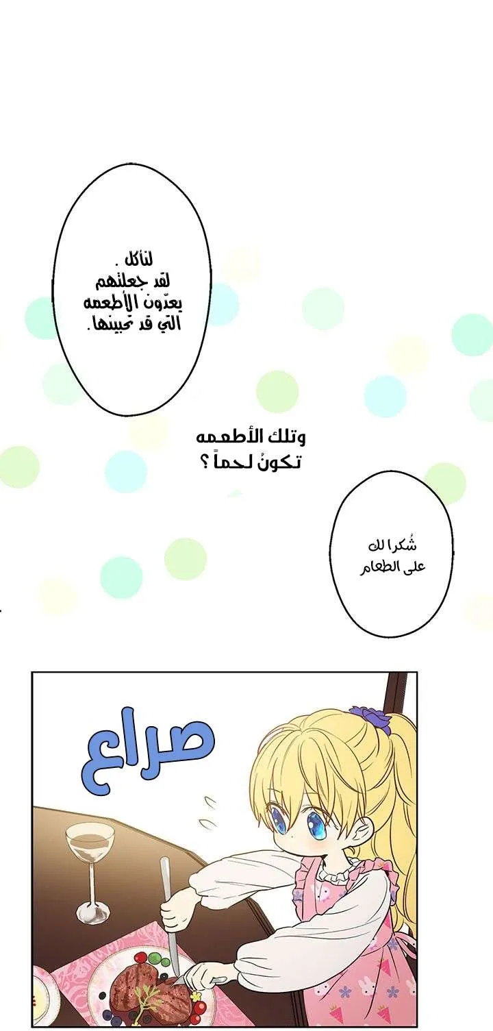 الصفحة 32 من 69