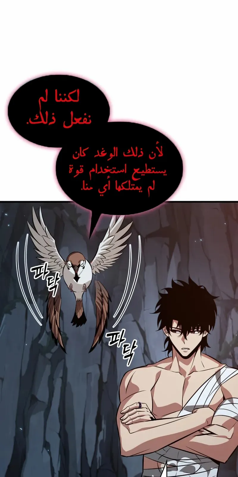 الصفحة 18 من 99