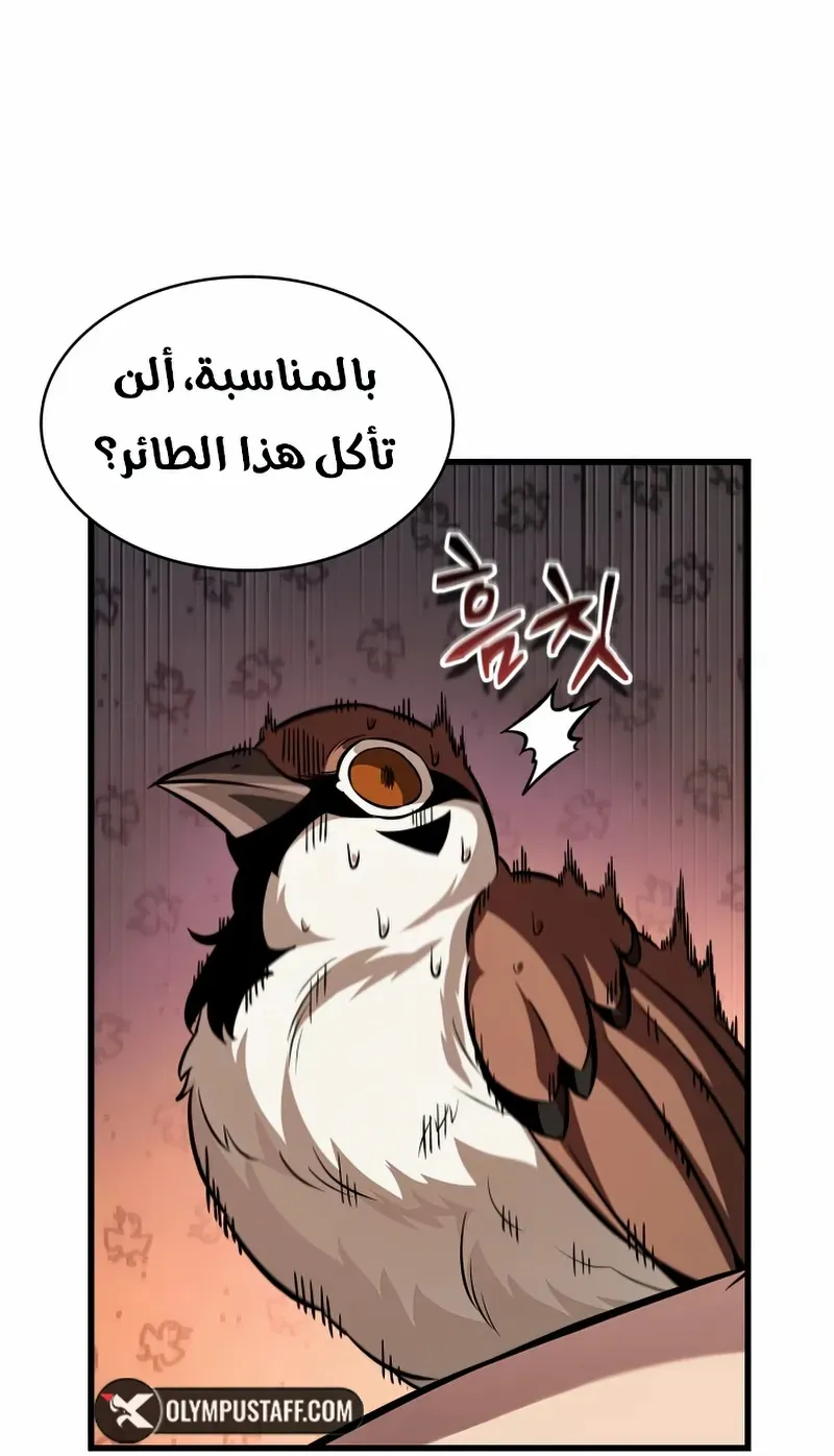 الصفحة 50 من 99