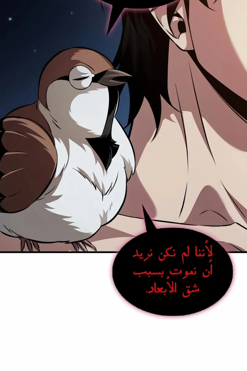 الصفحة 16 من 99