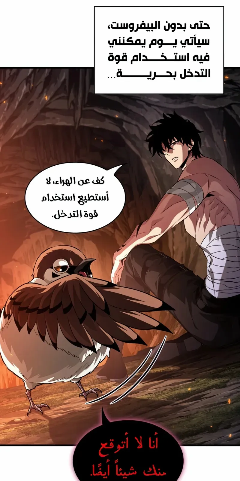 الصفحة 81 من 99