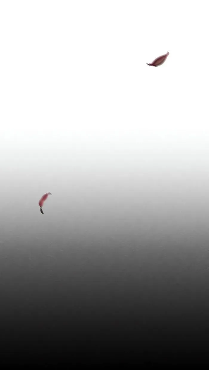 الصفحة 49 من 90