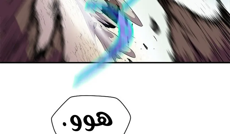 الصفحة 240 من 300