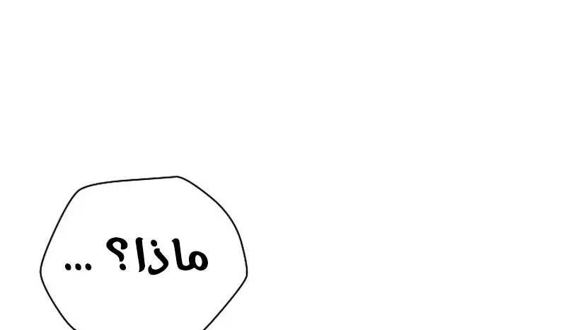 الصفحة 161 من 300
