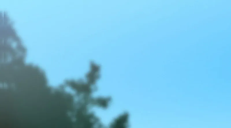 الصفحة 1 من 300