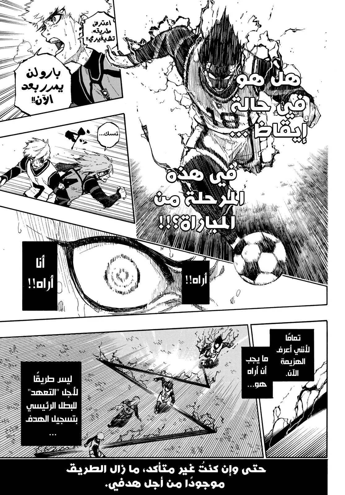 الصفحة 17 من 24