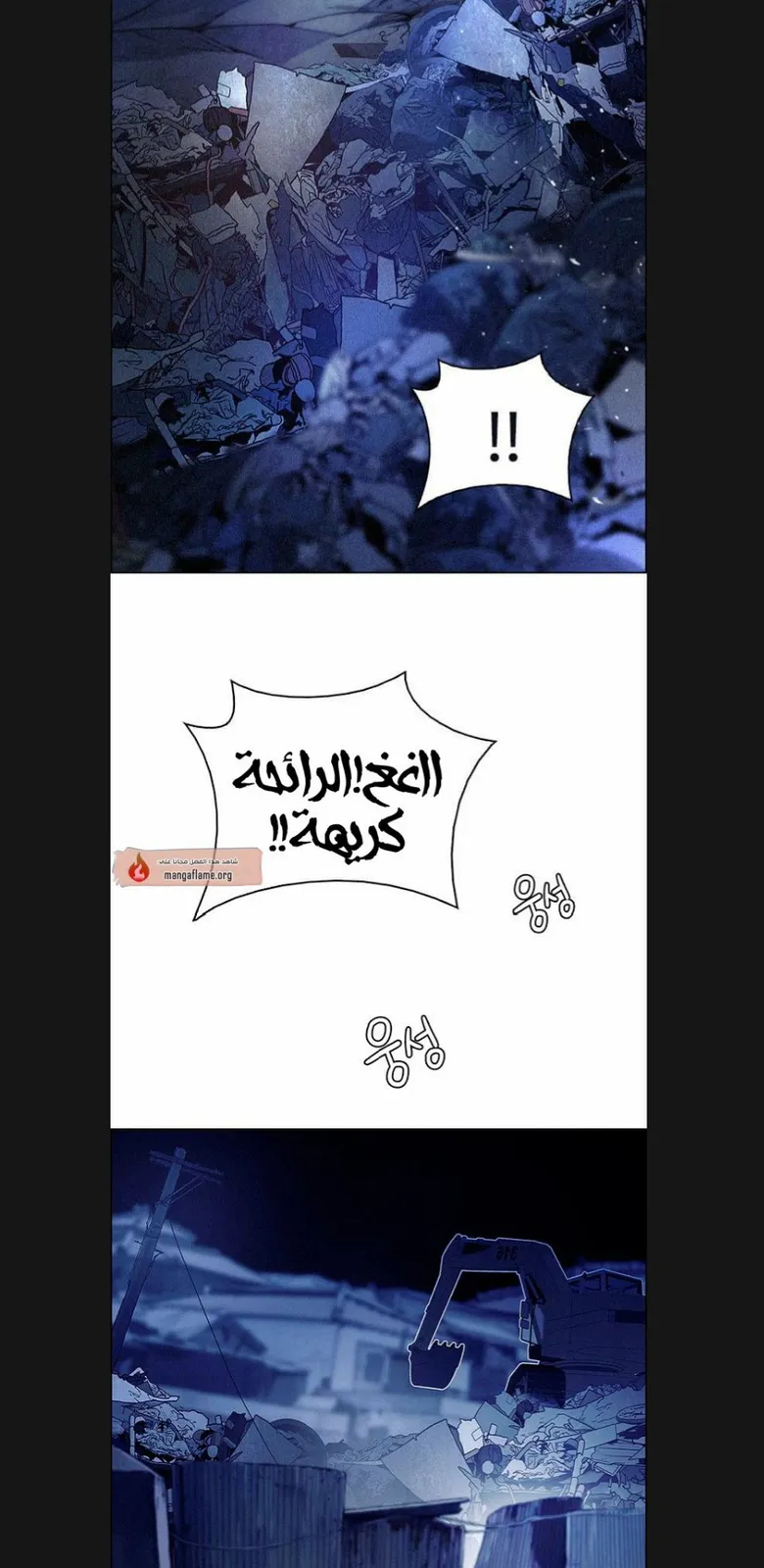 الصفحة 43 من 61
