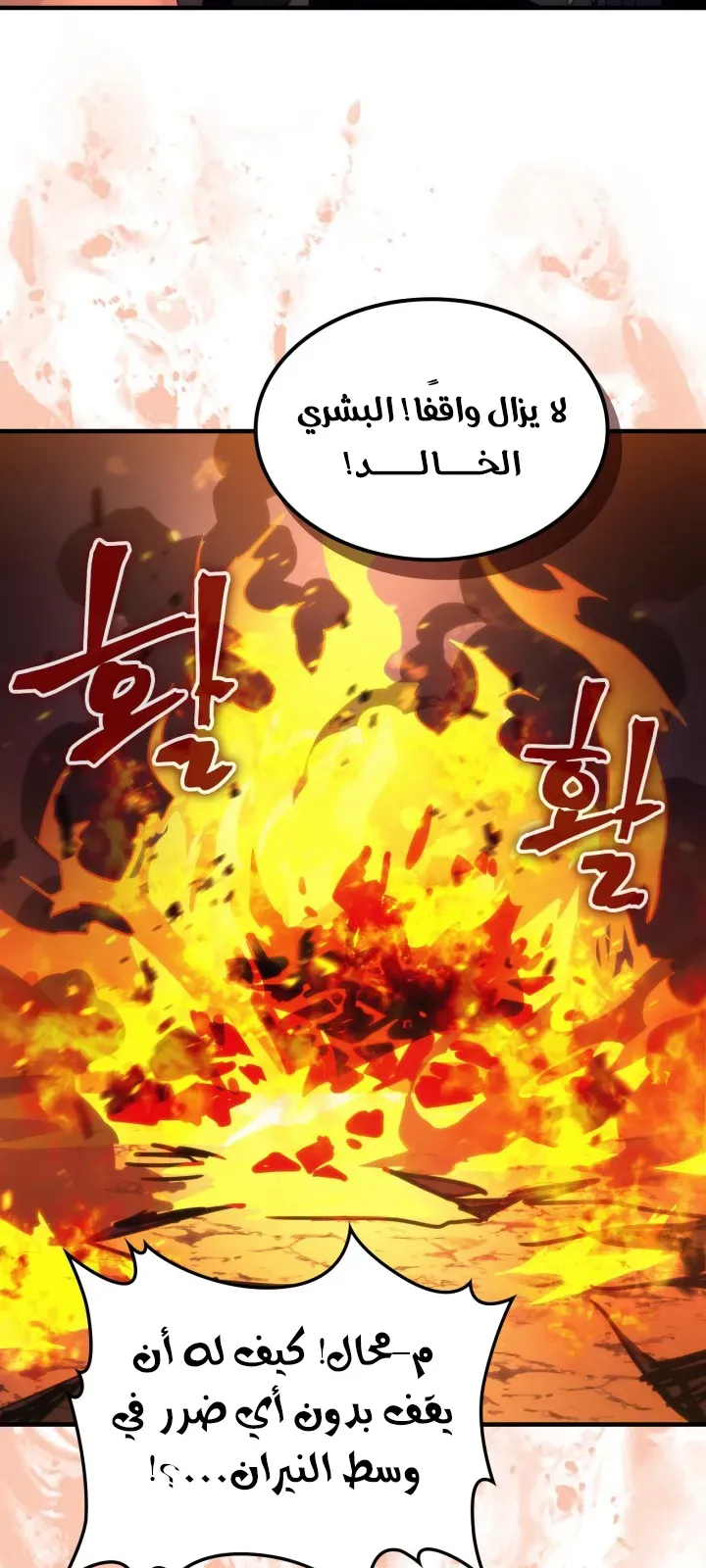 الصفحة 41 من 67