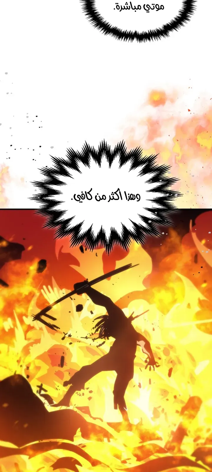 الصفحة 43 من 67