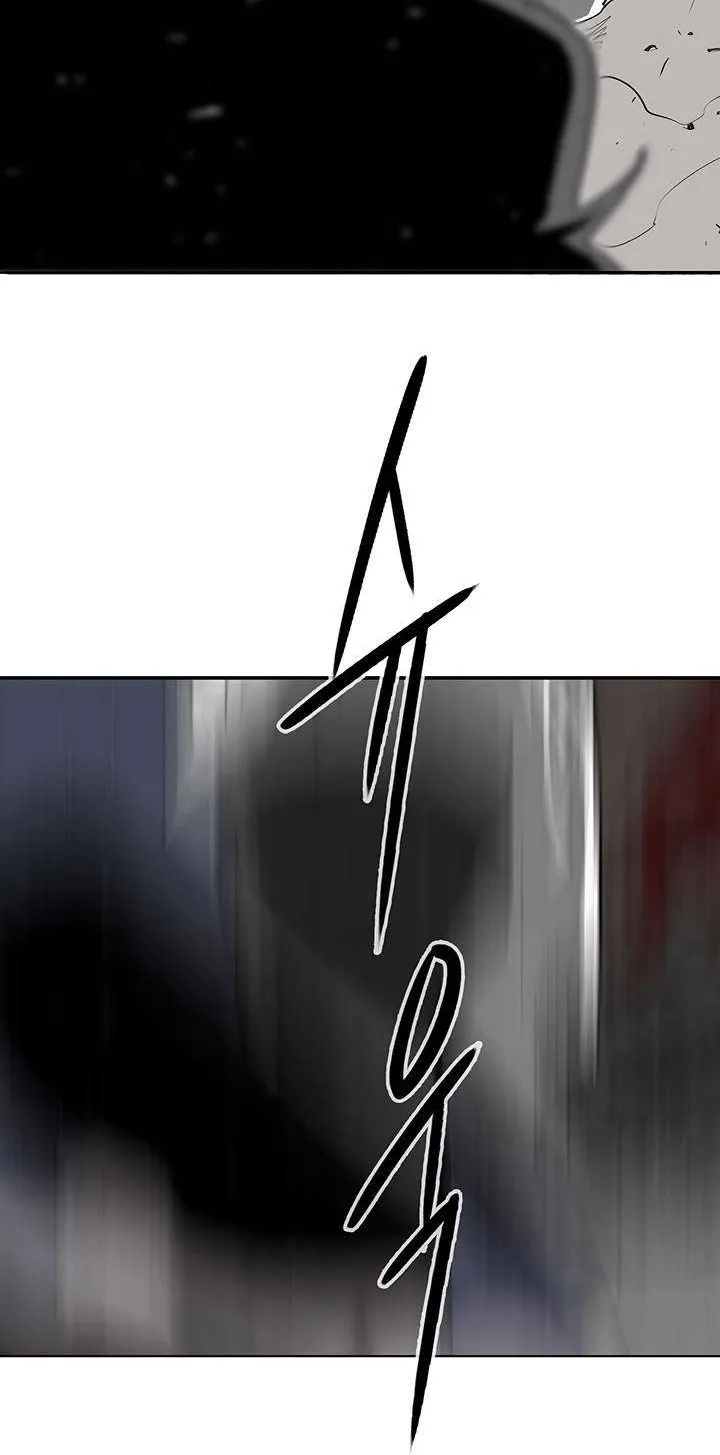 الصفحة 41 من 62
