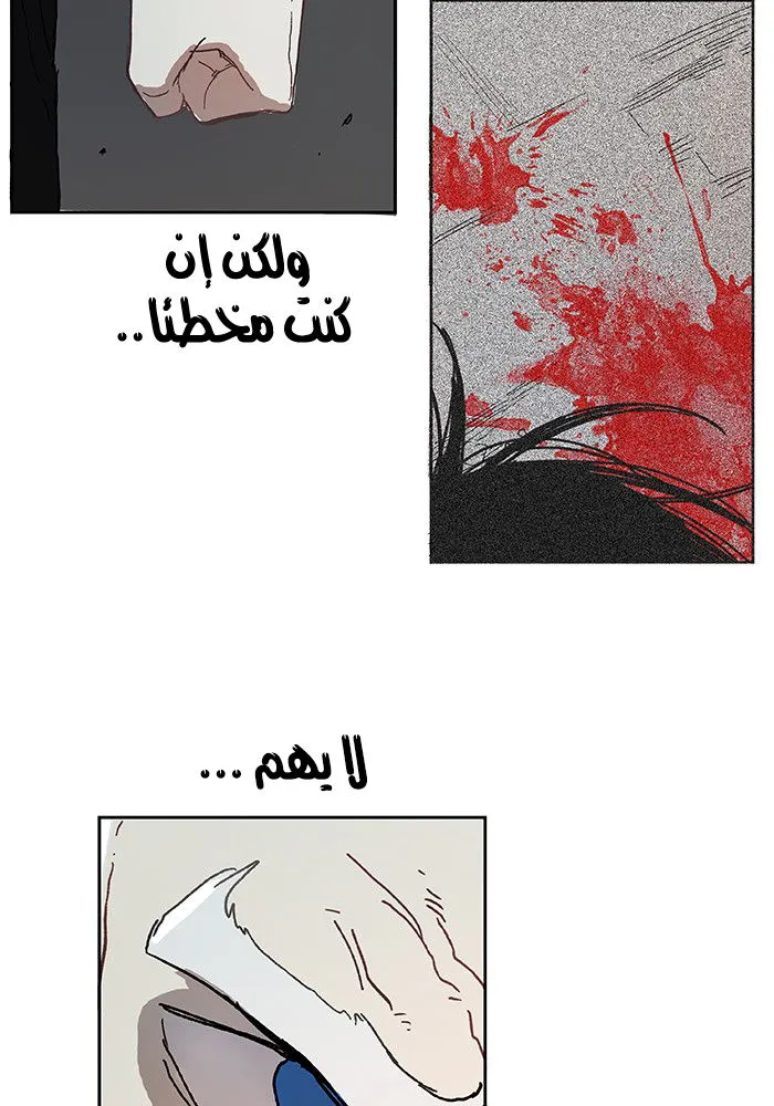 الصفحة 28 من 61