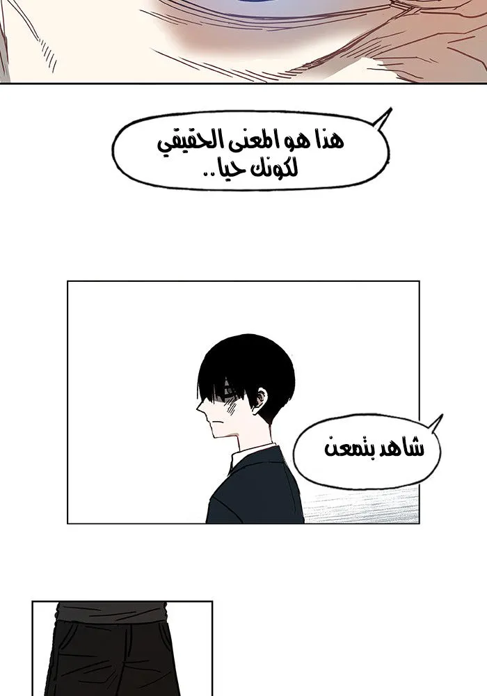 الصفحة 50 من 61