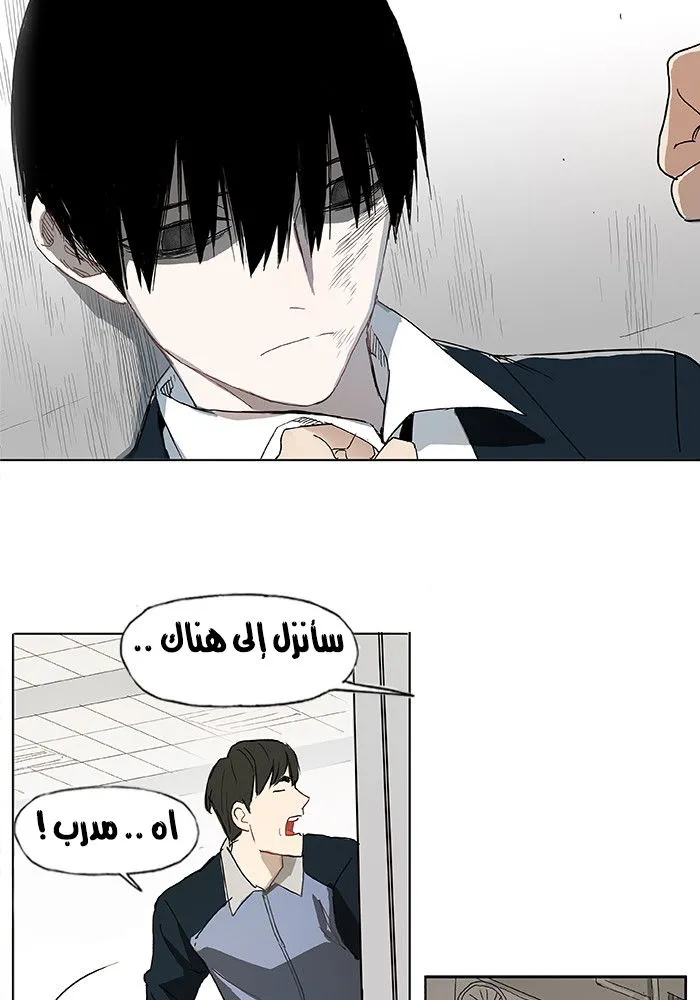الصفحة 13 من 61