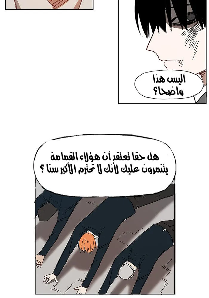 الصفحة 43 من 61