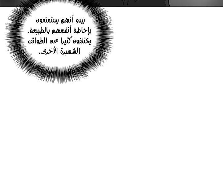 الصفحة 22 من 173