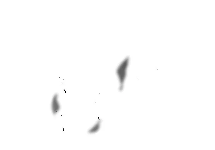 الصفحة 78 من 173