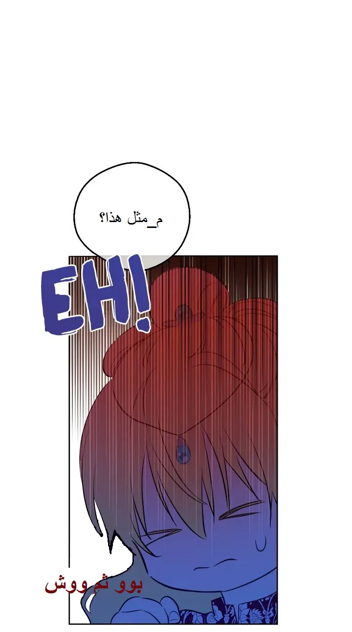 الصفحة 24 من 57