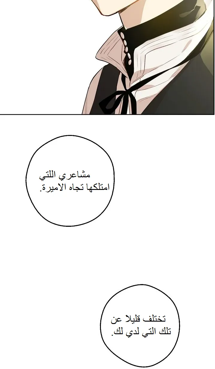 الصفحة 48 من 57