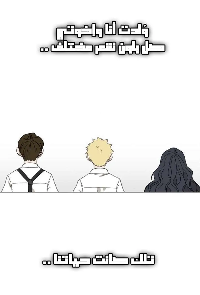 الصفحة 41 من 126