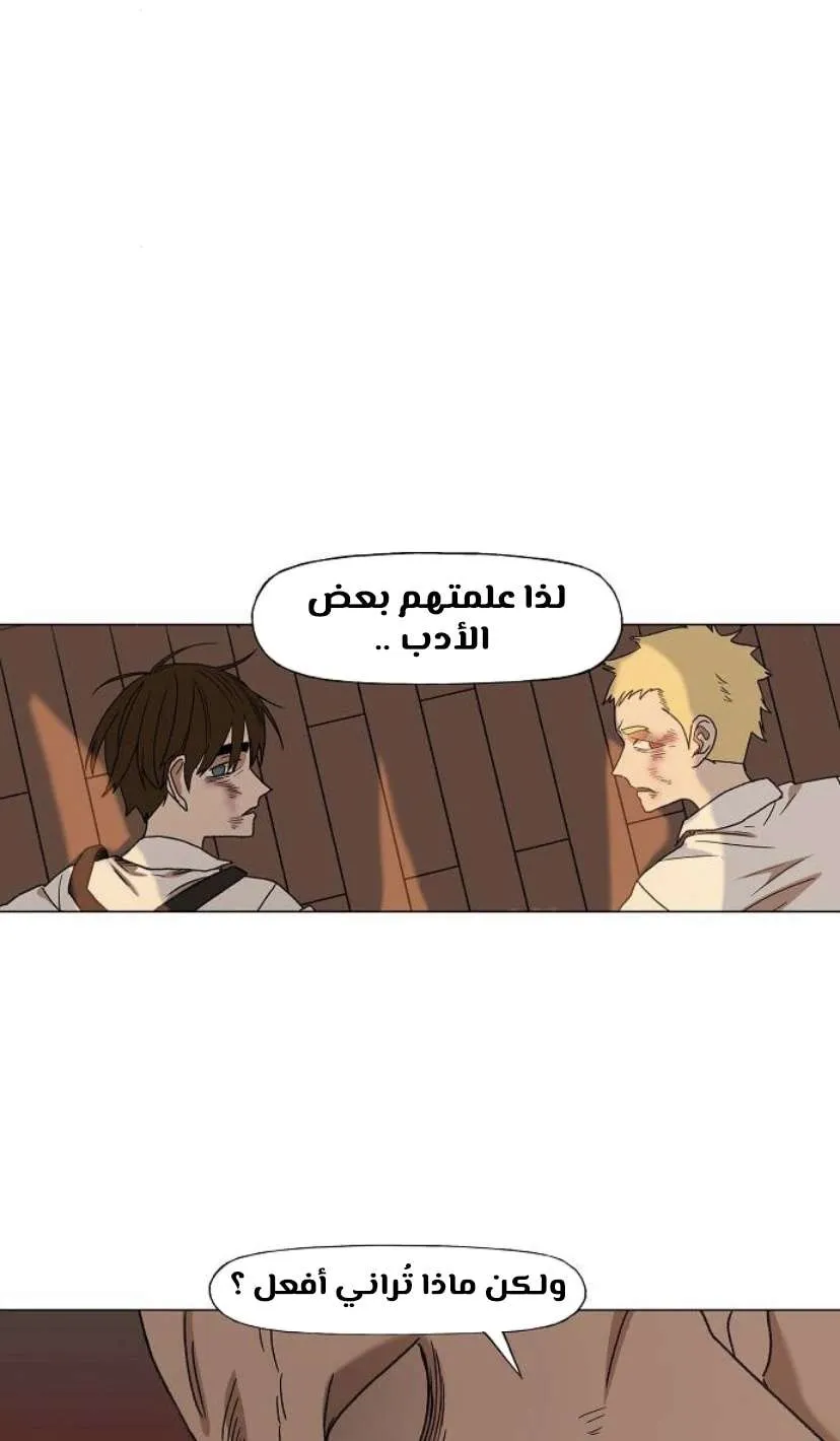 الصفحة 88 من 126