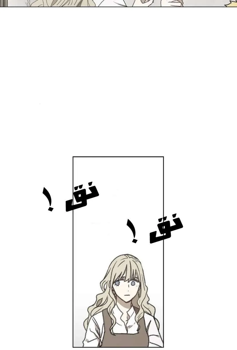 الصفحة 47 من 126