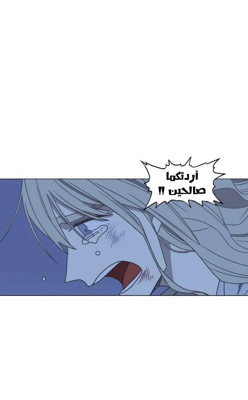 الصفحة 113 من 126