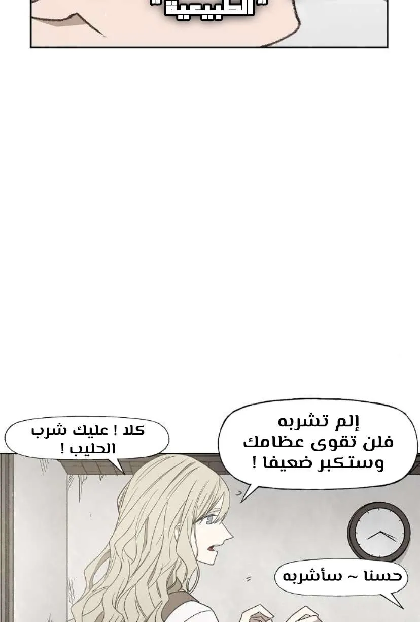 الصفحة 46 من 126