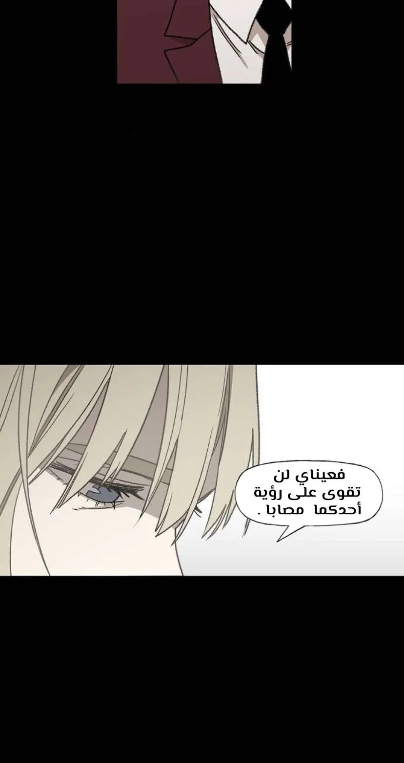 الصفحة 16 من 126