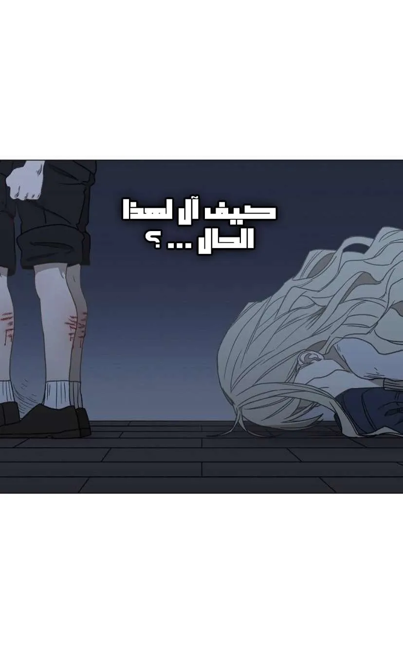 الصفحة 123 من 126