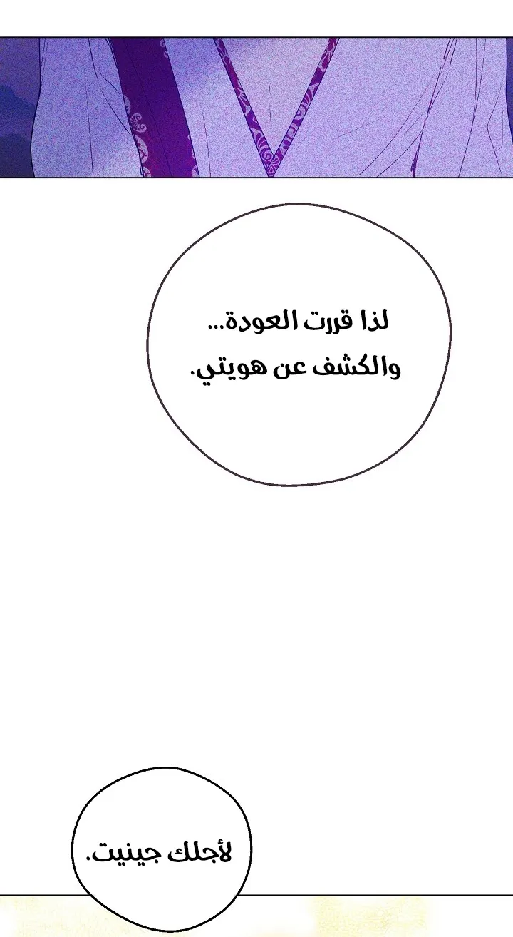 الصفحة 48 من 63