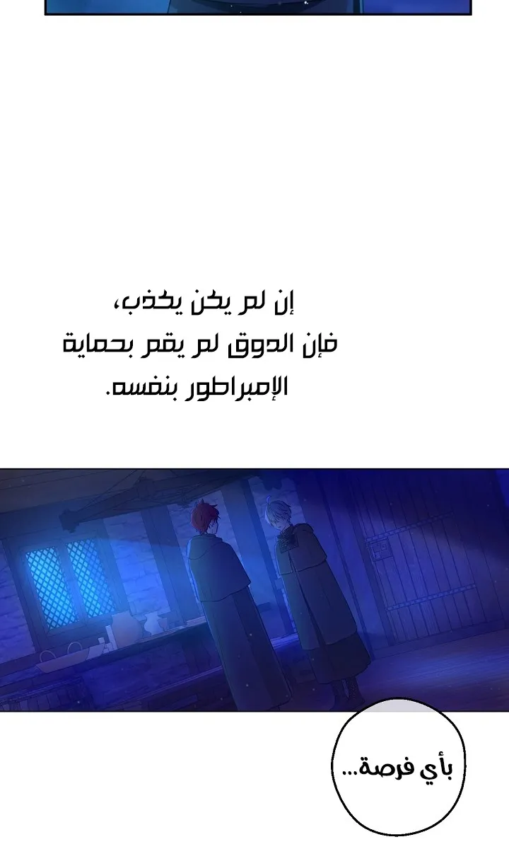 الصفحة 19 من 63