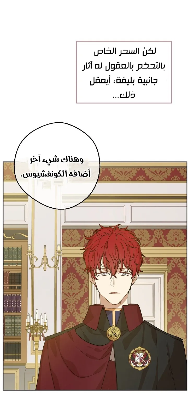الصفحة 26 من 63