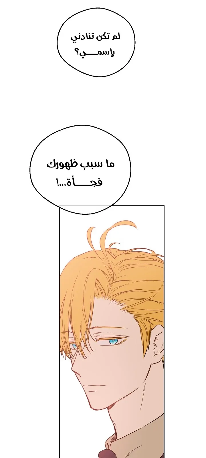 الصفحة 40 من 63