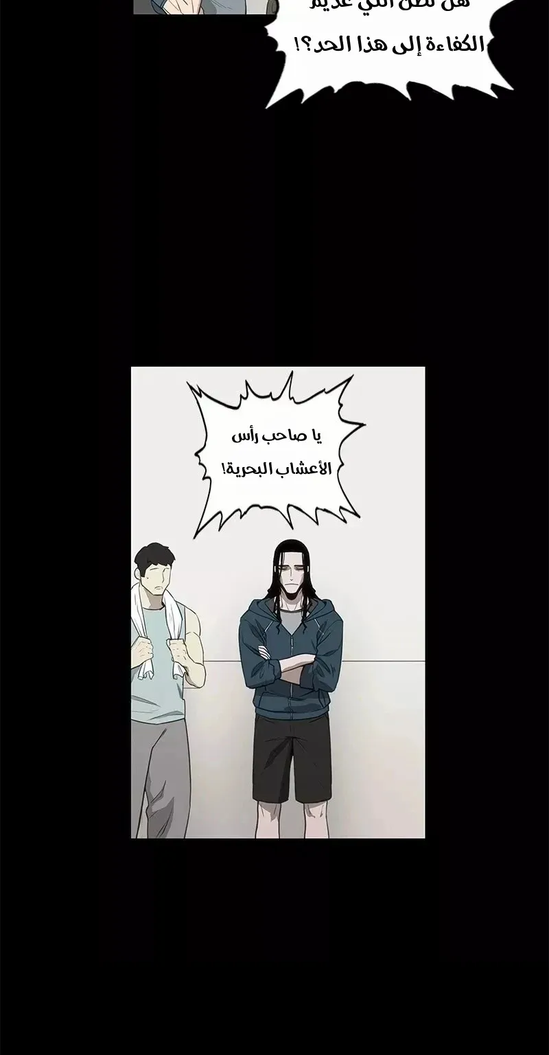 الصفحة 29 من 75