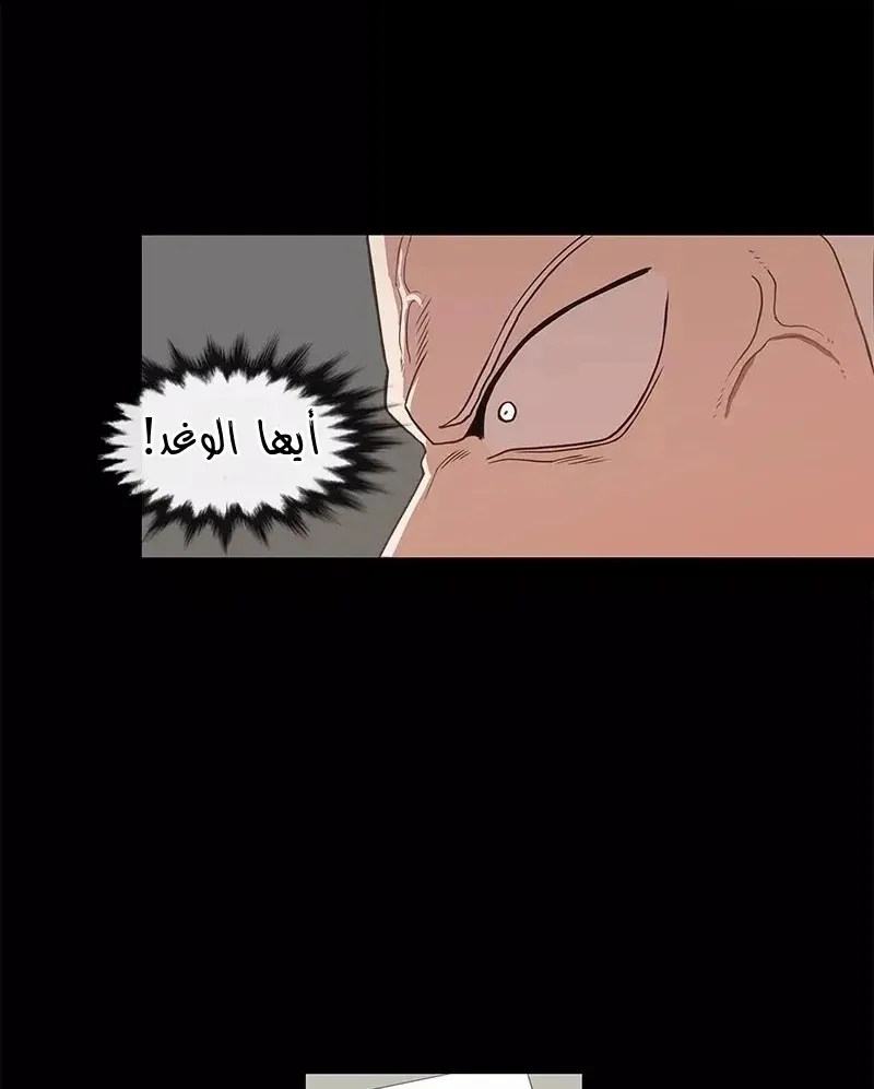 الصفحة 48 من 75