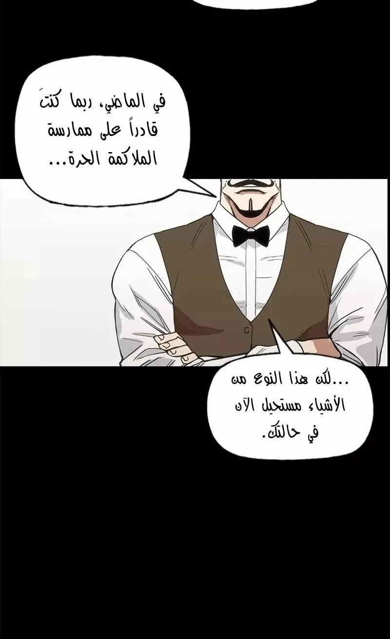 الصفحة 26 من 75