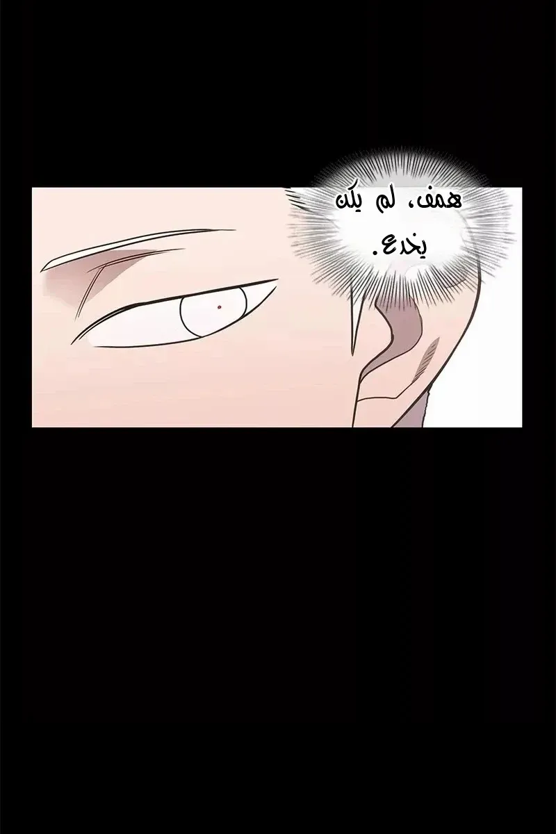 الصفحة 17 من 75