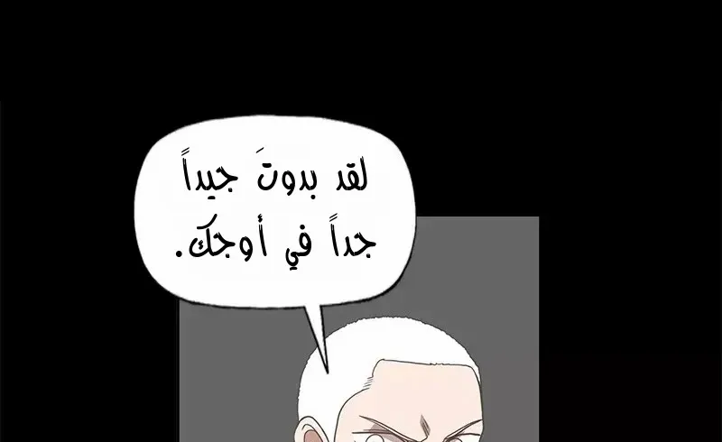 الصفحة 30 من 75