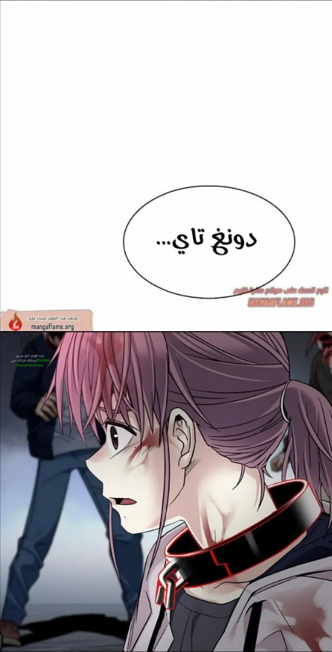 الصفحة 53 من 82