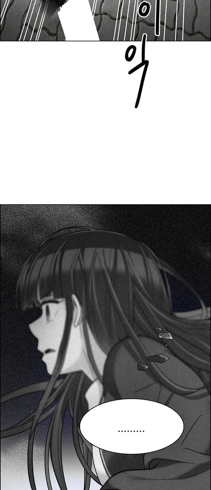 الصفحة 13 من 61