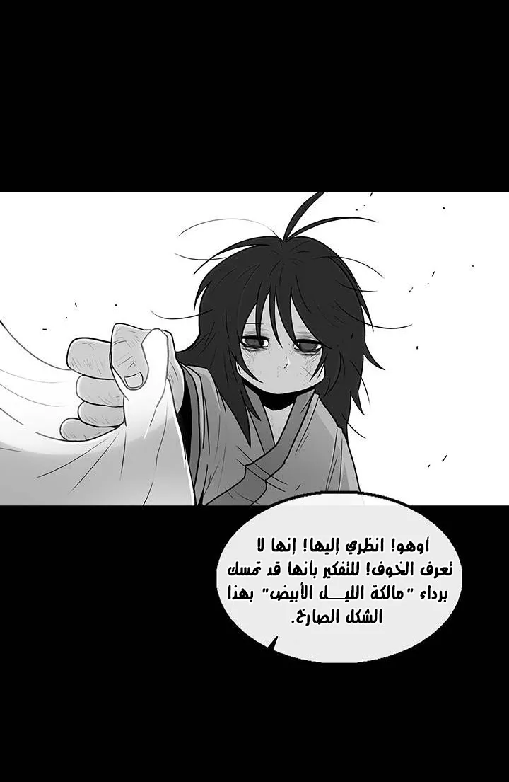 الصفحة 41 من 71