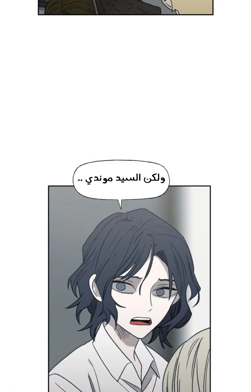 الصفحة 33 من 80
