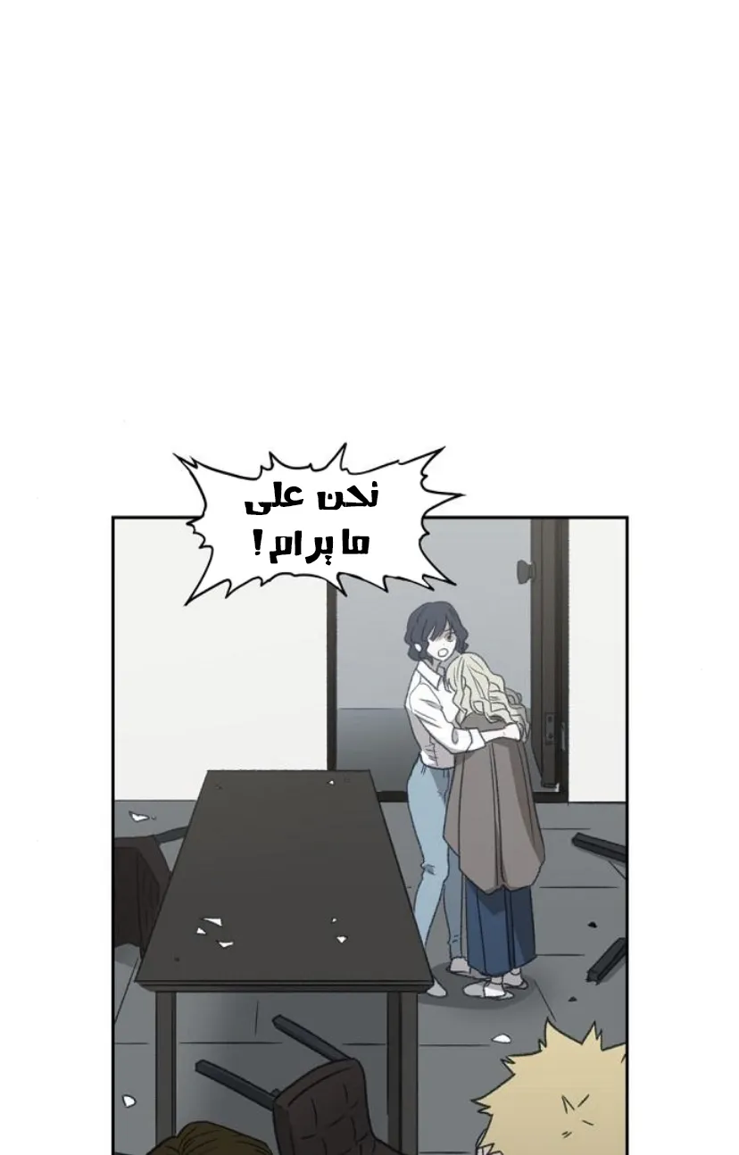 الصفحة 32 من 80