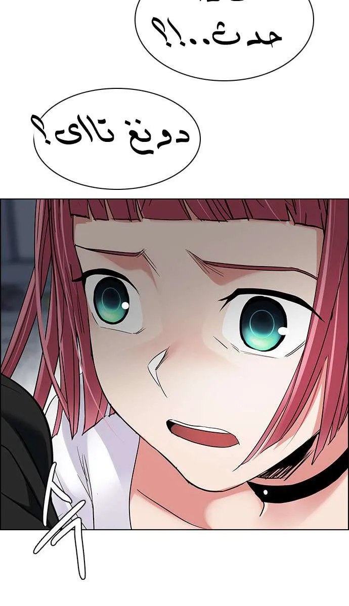 الصفحة 12 من 61