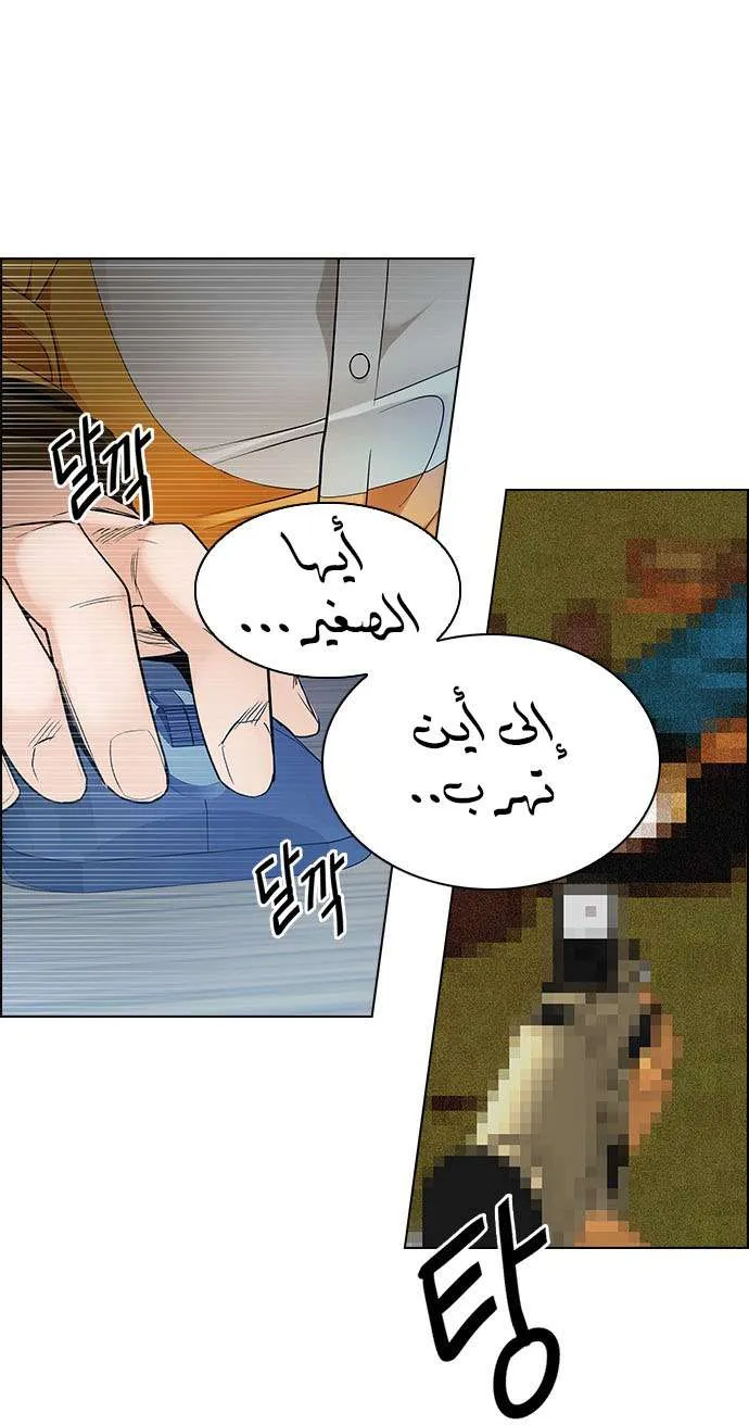 الصفحة 29 من 61
